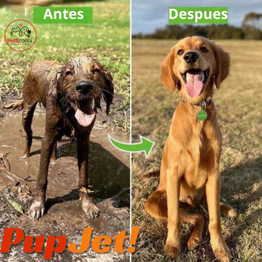 PUPJET | PISTOLA ESPUMADORA LAVA MASCOTAS